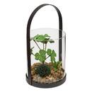 Terrarium Wilo Plantes, vases Plantes artificielles