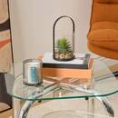Terrarium Wilo Plantes, vases Plantes artificielles