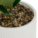 Ficus artificiel en pot Sky Plantes, vases Plantes artificielles