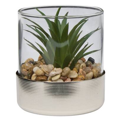 Terrarium Sky Plantes, vases Plantes artificielles