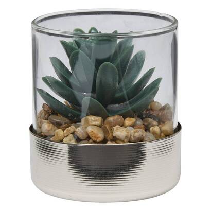 Terrarium Sky Plantes, vases Plantes artificielles