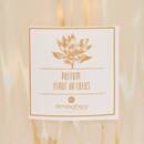 Diffuseur Belli Bougies, senteurs Diffuseurs