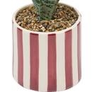 Pianta artificiale in vaso "Cheri" 11,5x11,5 cm Giallo