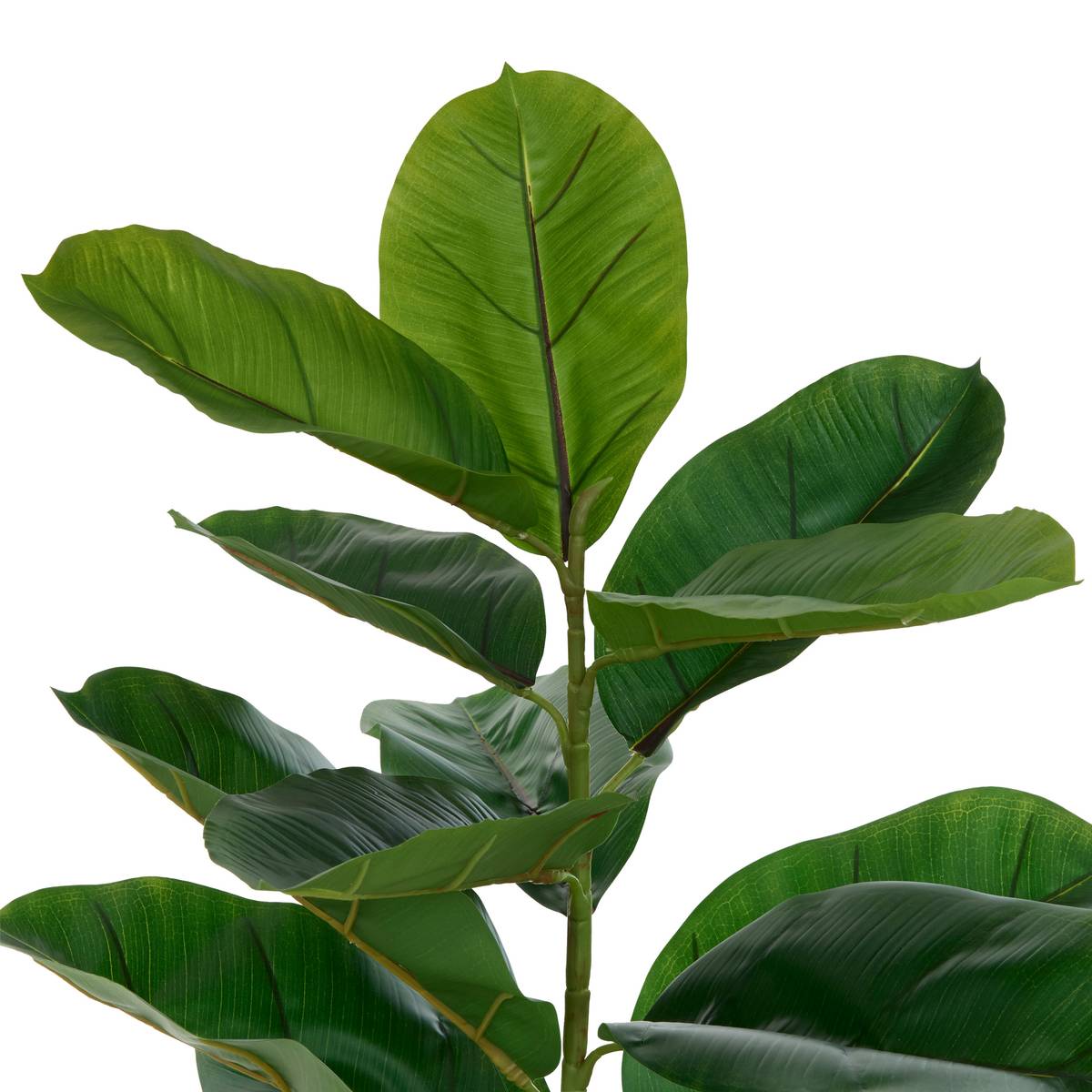 Ficus artificiale in vaso "Sky" H.145 cm Nero