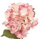 Fiore artificiale "Fria" H.62 cm Beige