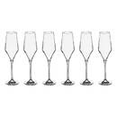 Set da 6 flute da champagne "Clarillo" 220 ml, Trasparente Trasparente