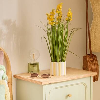 Collezione Fleur de rose