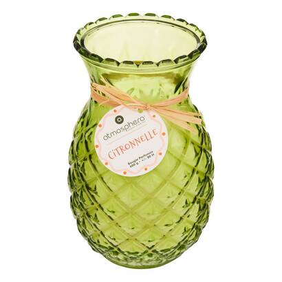 Candela profumata "fruttata" diverse fragranze, 600g