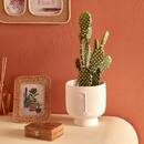 Copri-vaso "Pam" H.17 cm Beige