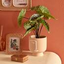 Copri-vaso "Pam" H.17 cm Beige