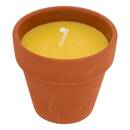 Candela profumata "Terry" Profumo fruttato, Citronella, 40g Citronella
