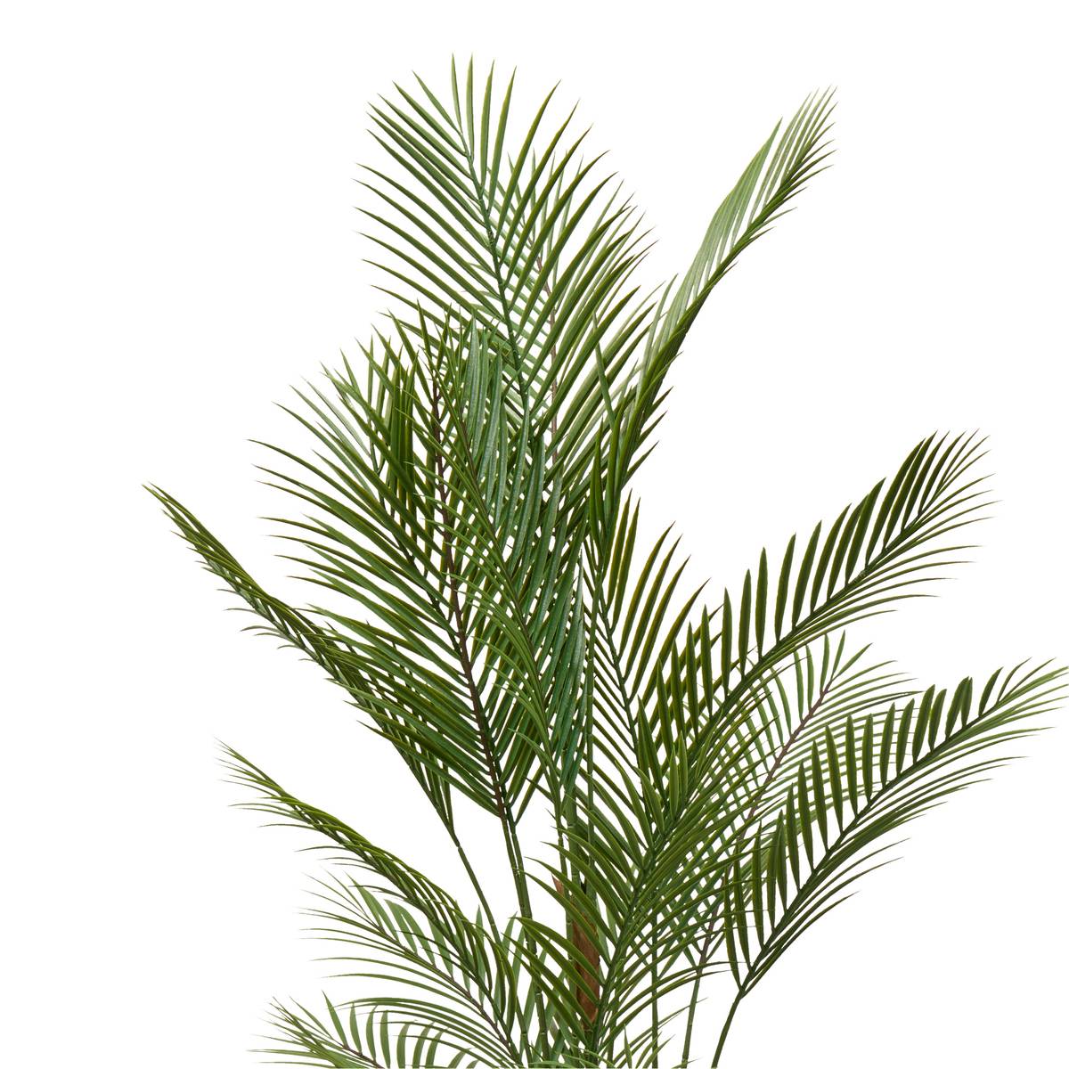 Pianta artificiale in vaso "Merlo" H.187 cm Verde