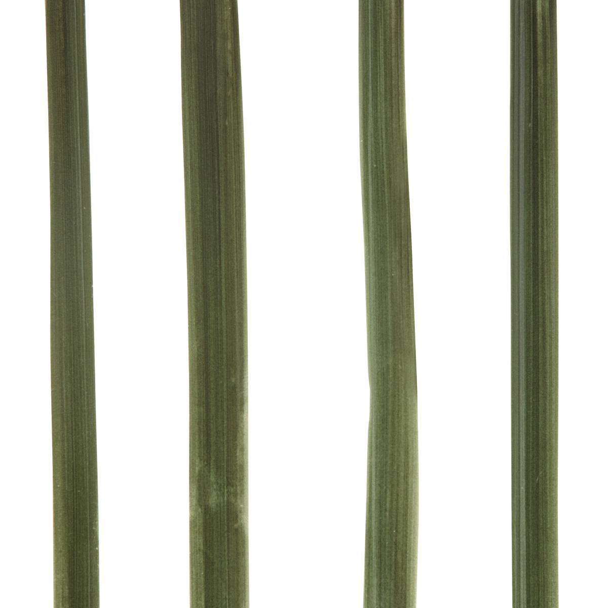 Fiore artificiale in vaso "Asia" Gres (ceramica), H.81 cm Verde