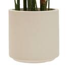 Pianta artificiale in vaso "Merlo" H.187 cm Verde