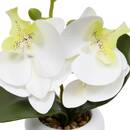 Fiore artificiale in vaso "Mick" H.23 cm Bianco