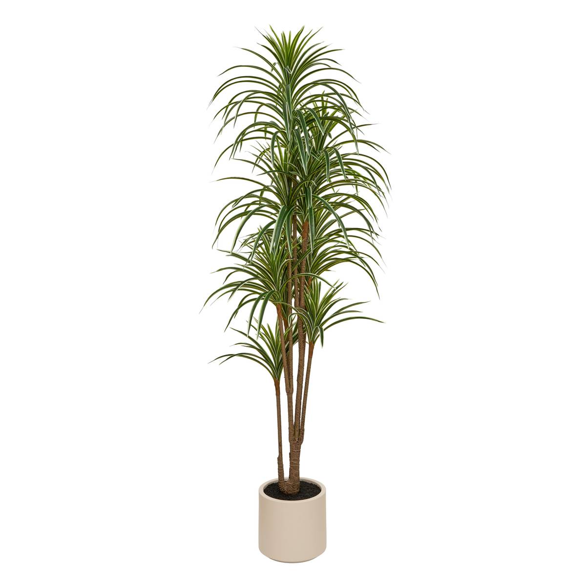 Pianta artificiale in vaso "Edi" H.180 cm Verde
