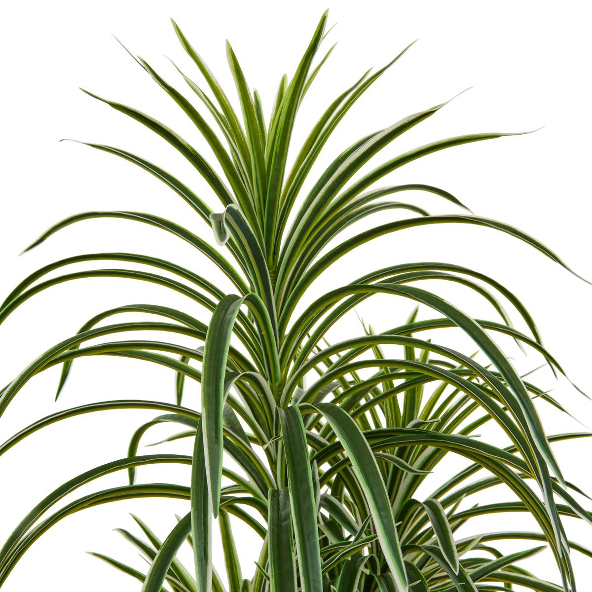 Pianta artificiale in vaso "Edi" H.180 cm Verde