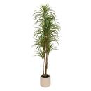 Pianta artificiale in vaso "Edi" H.180 cm Verde