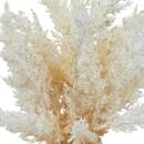 Composizione floreale "James" H.36 cm Bianco