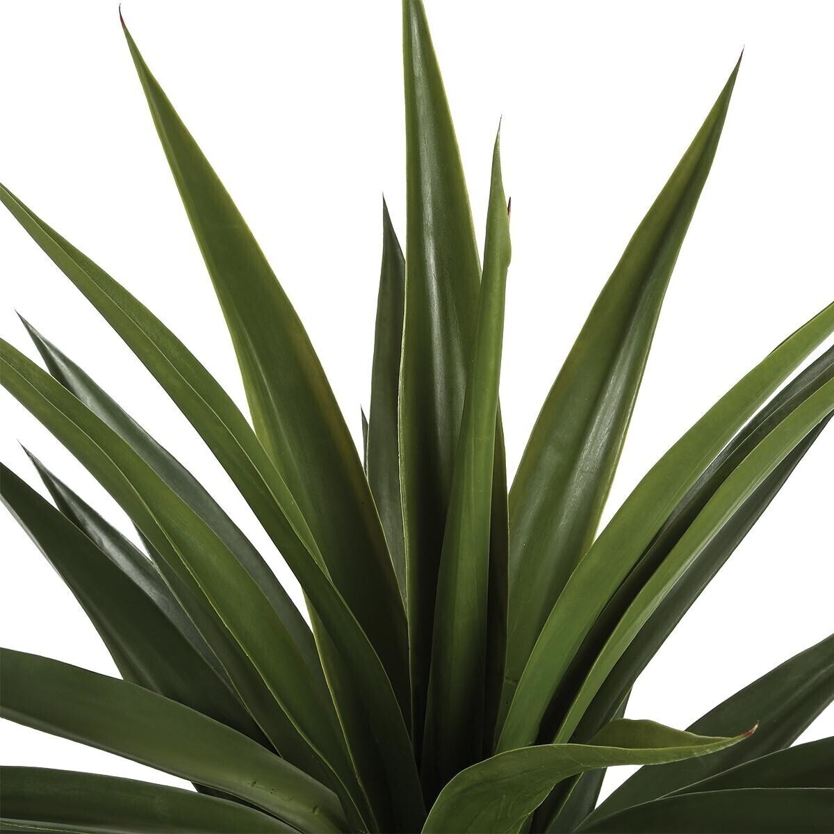 Agave Artificiale Gigante