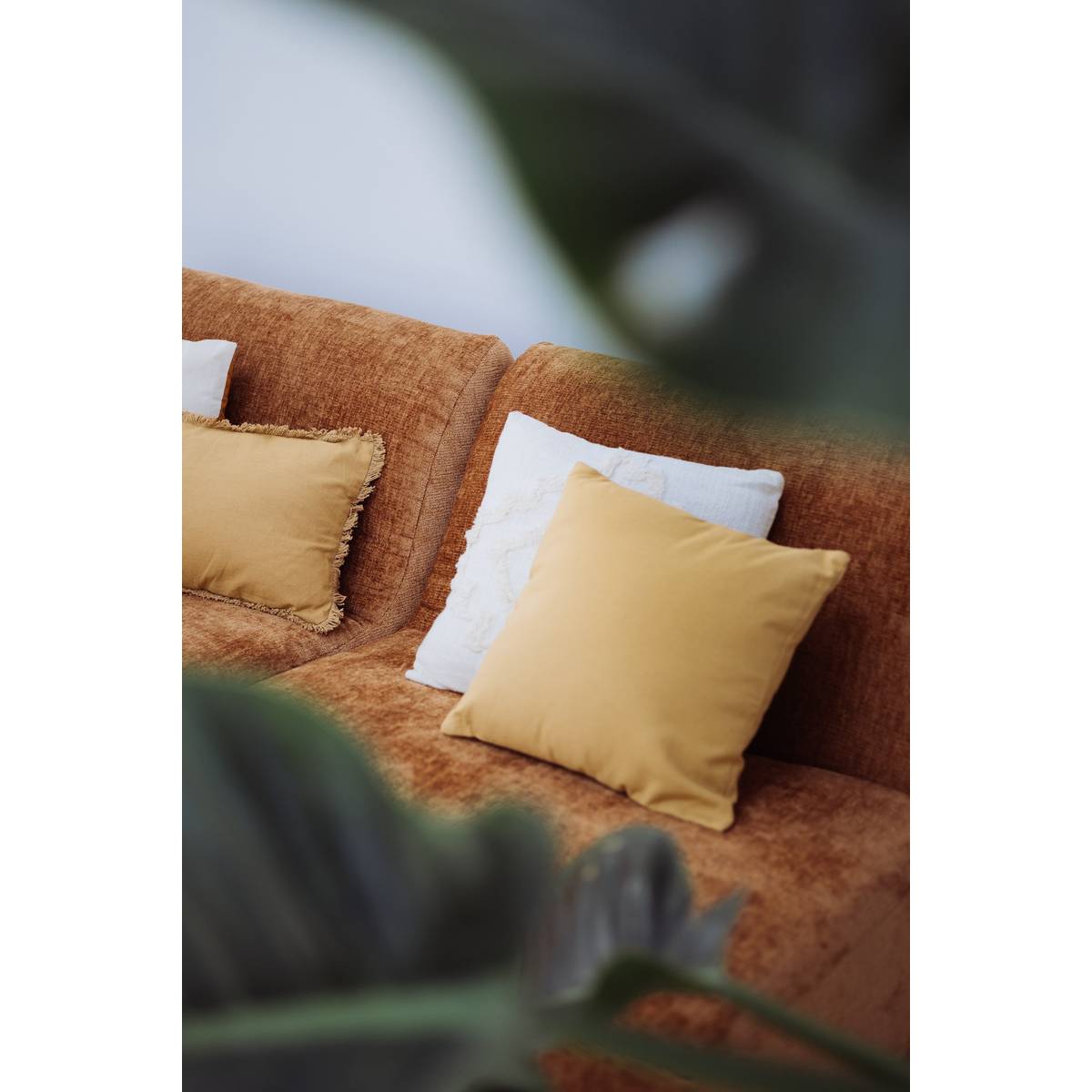 Cuscino sfoderabile, cotone Giallo, 38x38 cm Giallo