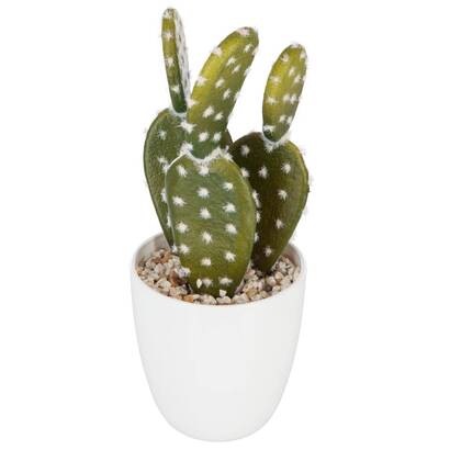 Pianta succulenta e cactus h.18 cm