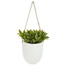 Pianta Artificiale Sospesa Vaso in ceramica, H.20 cm Modello 1