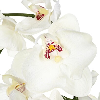 Piante, vasi Fiori artificiali