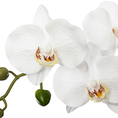 Orchidea artificiale h.53 cm