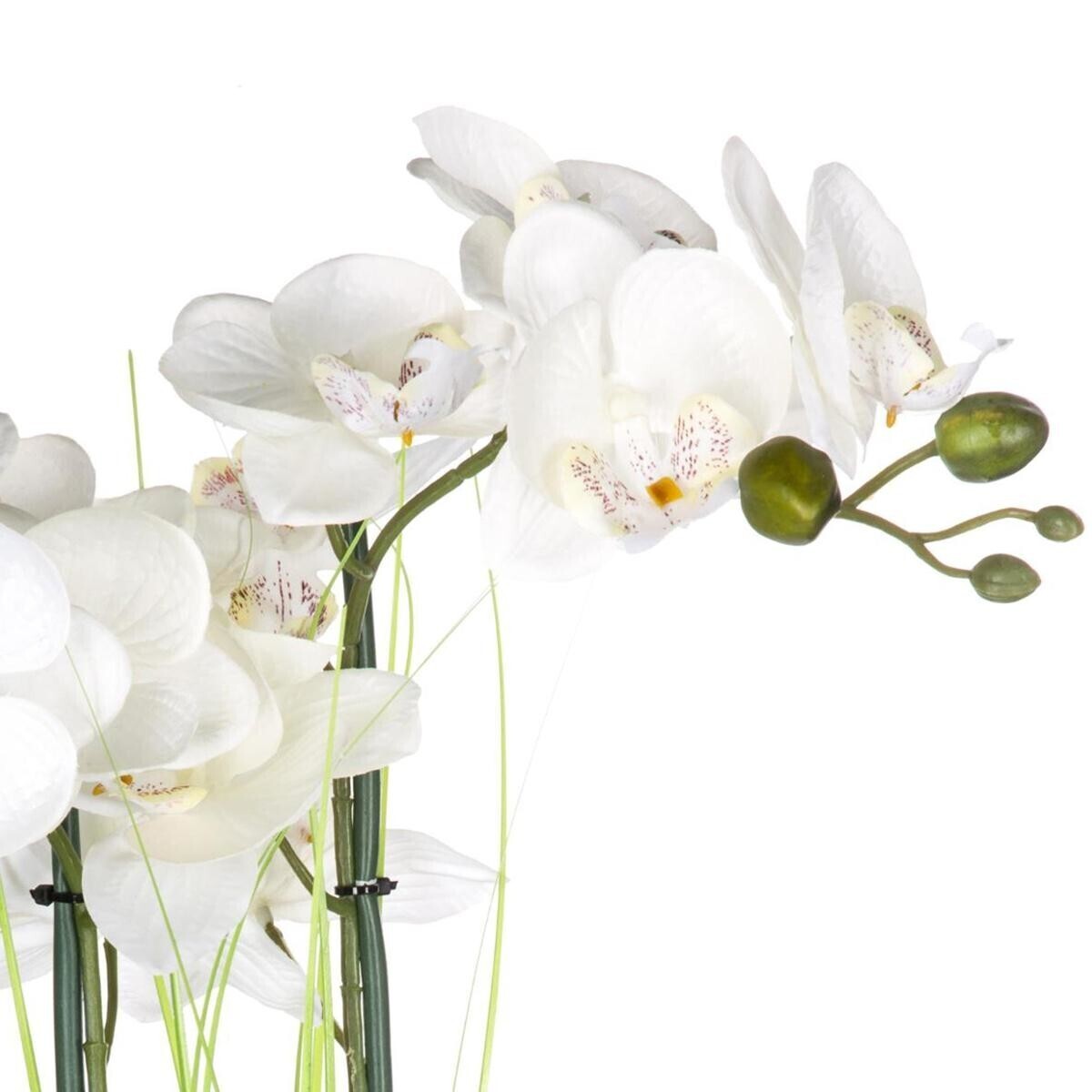 Orchidea artificiale Vaso in ceramica, Argento, H.53 cm Argento