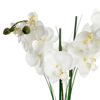 Orchidea artificiale vaso in ceramica, nero, h.53 cm