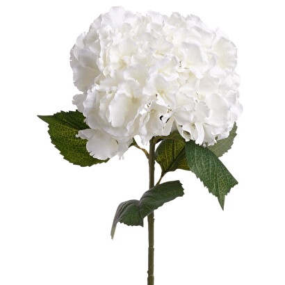 Gambo di ortensia artificiale bianco, h.83 cm