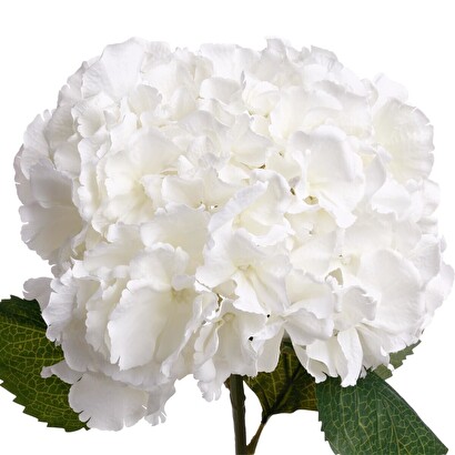 Gambo di ortensia artificiale bianco, h.83 cm