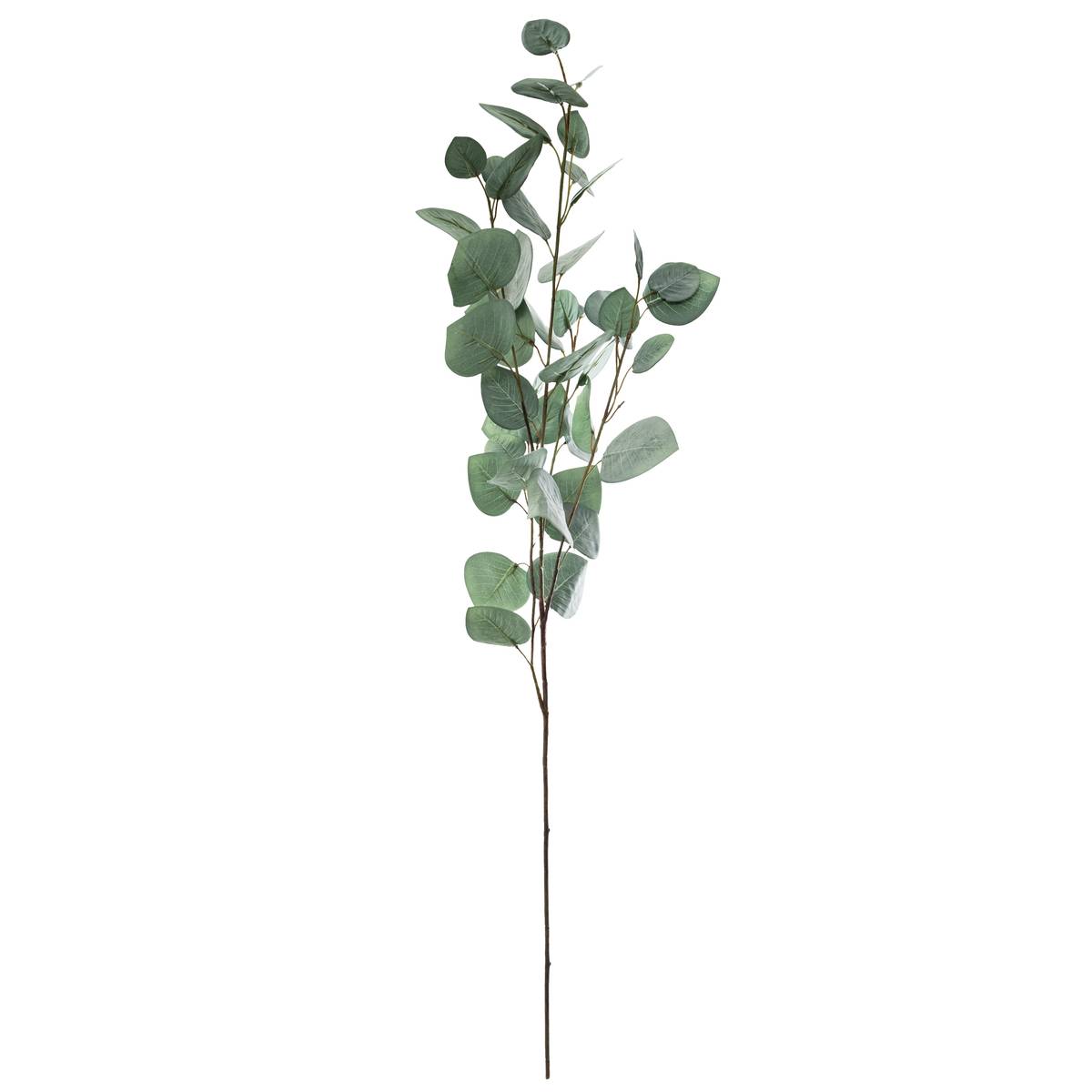 Stelo di eucalipto artificiale H.92 cm Verde