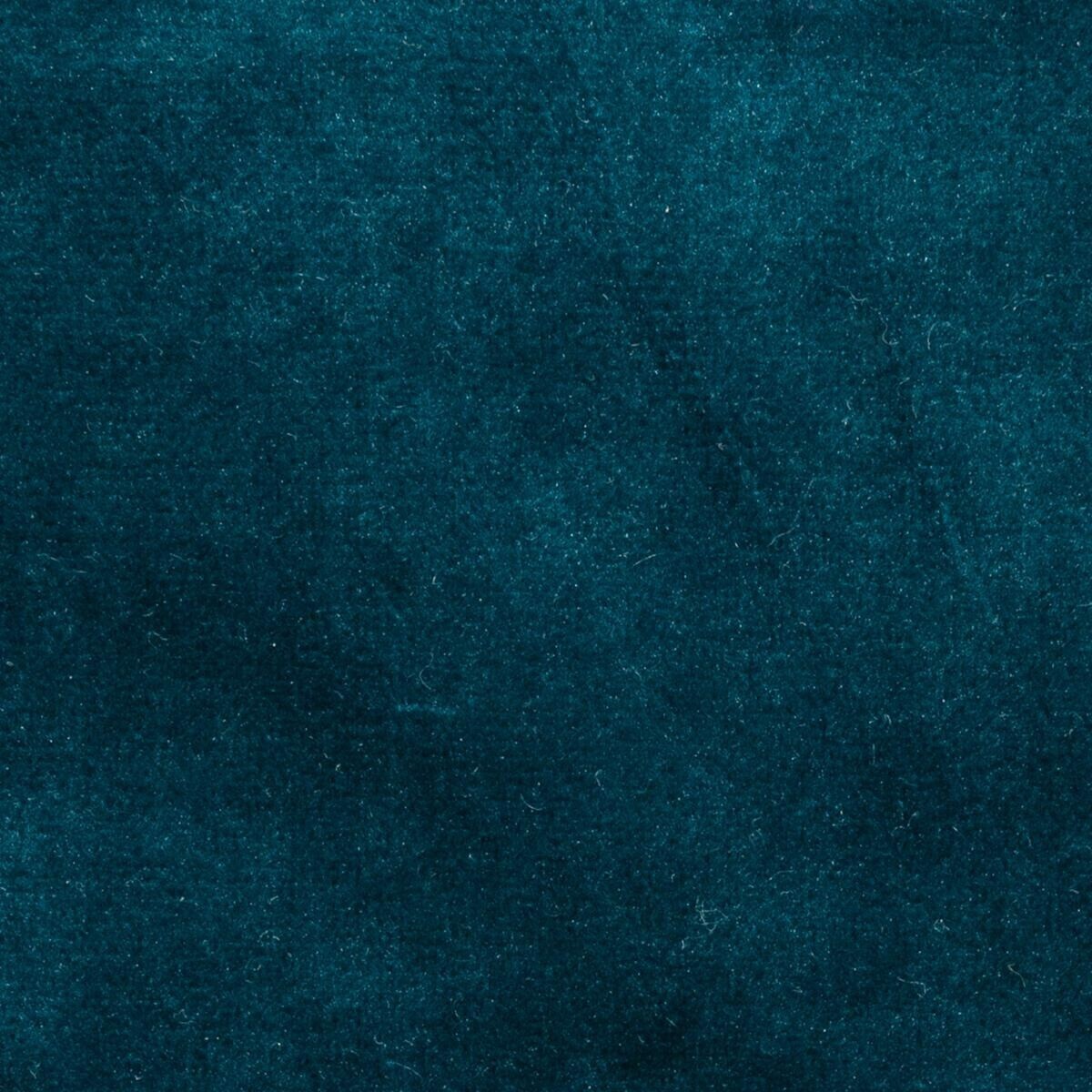 Tenda oscurante "Dolce" velluto Blu petrolio, 140x260 cm Blu anatra