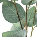 Stelo di eucalipto artificiale H.92 cm Verde