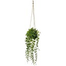 Pianta artificiale sospesa "Living" Ø 10 cm Verde