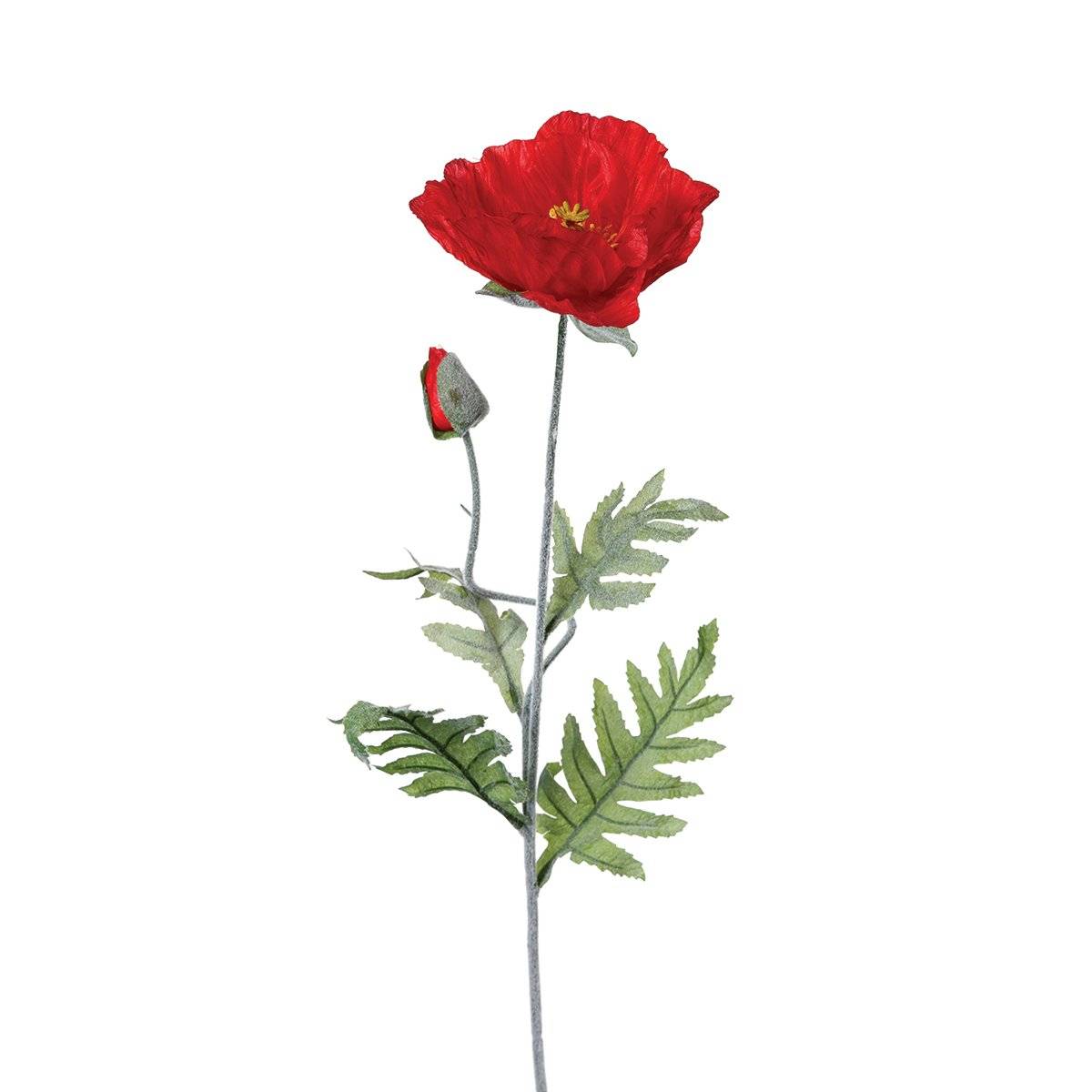 Stelo di papavero artificiale Rosso, 70 cm Rosso
