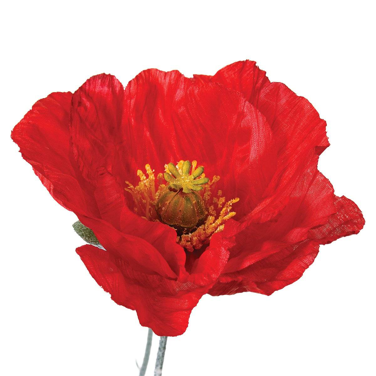 Stelo di papavero artificiale Rosso, 70 cm Rosso