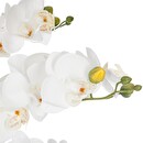 Orchidea artificiale in vaso "Orchidea" Vaso marmorizzato, H.65 cm Marmo