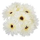 Bouquet di 7 gerbere artificiali H.26 cm Bianco avorio