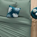Lenzuolo con angoli, cotone Verde Celadon, 160x200 cm Verde celeste