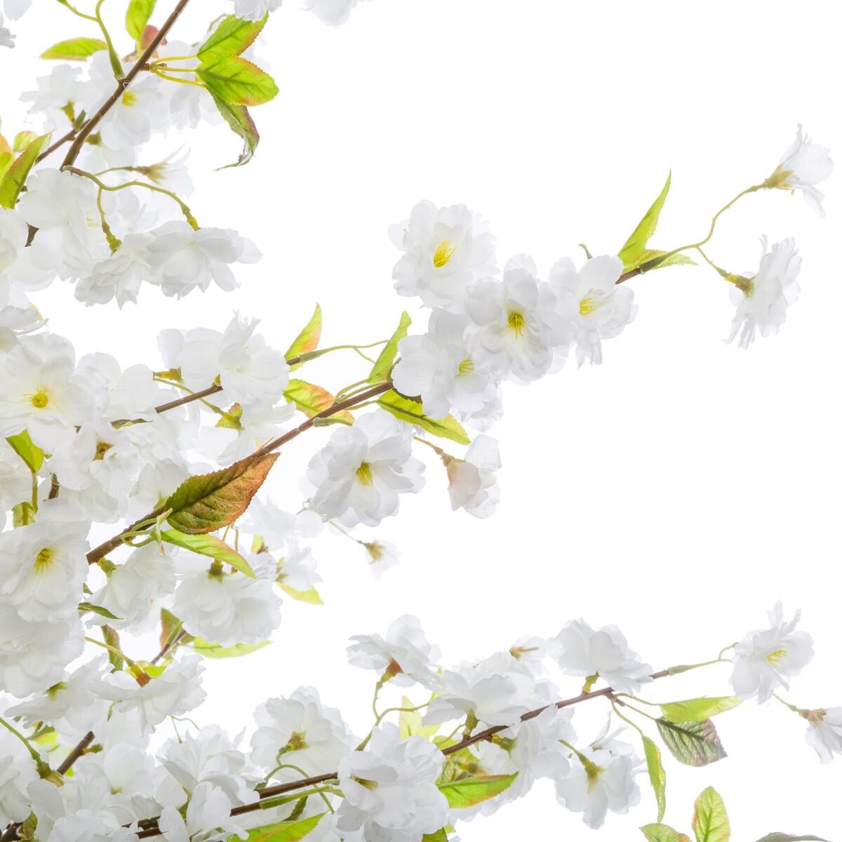 Ciliegio bianco artificiale Bianco, H.200 cm Bianco