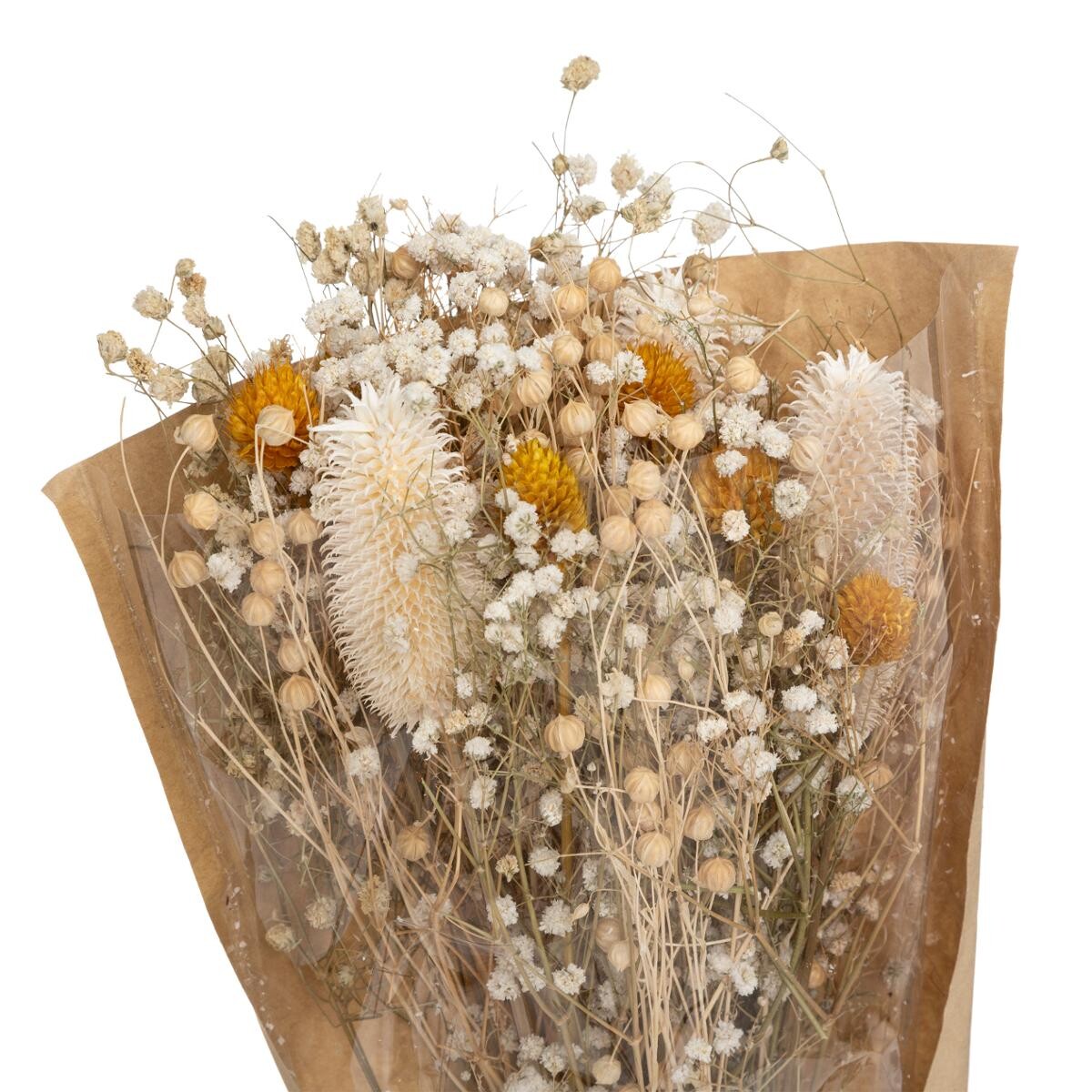 Bouquet di fiori secchi "Cardo"