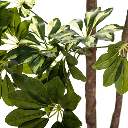 Schefflera artificiale h.130 cm