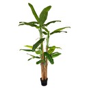 Banano artificiale gigante H.285 cm Verde