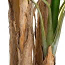 Banano artificiale gigante H.285 cm Verde