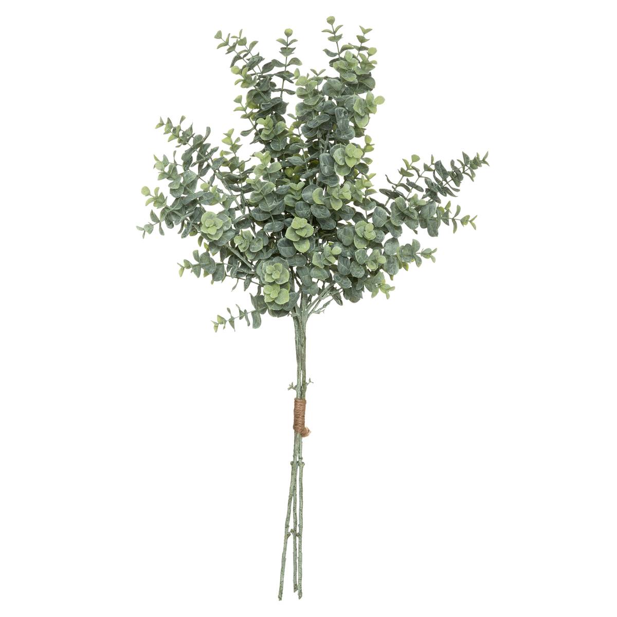 Bouquet di eucalipto artificiale H.64 cm Verde