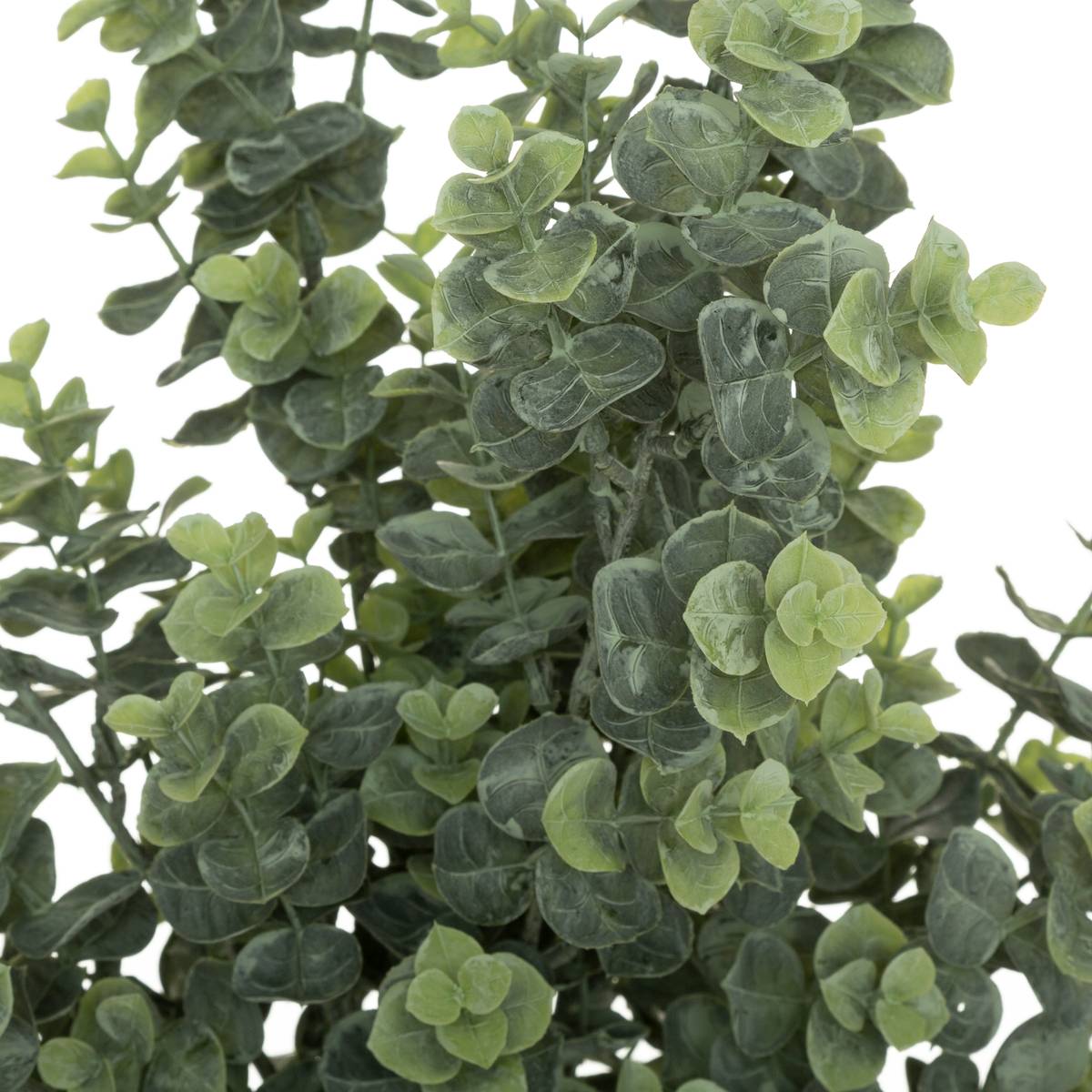 Bouquet di eucalipto artificiale H.64 cm Verde