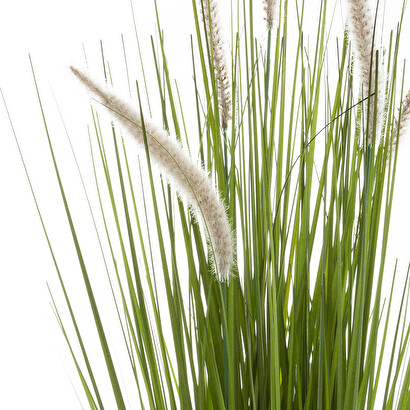 Erba artificiale in vaso "code di gatto" h.70 cm